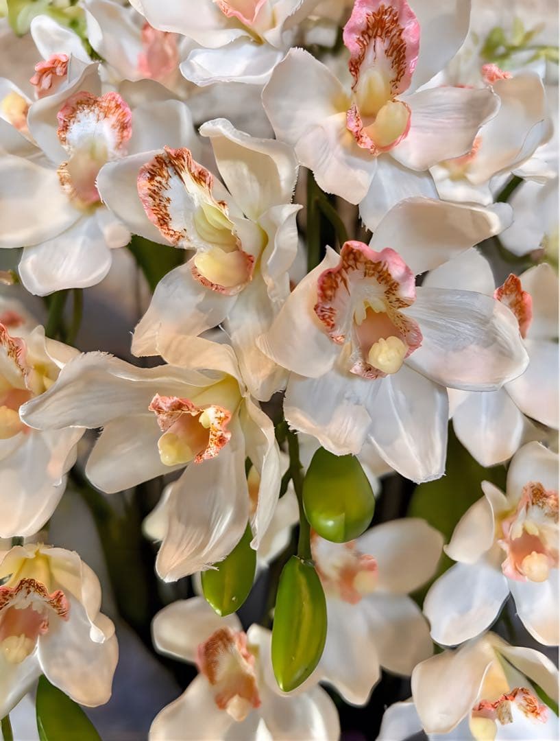 光触媒　人工観葉植物　フェイクグリーン　胡蝶蘭　シンピジューム６本立ち