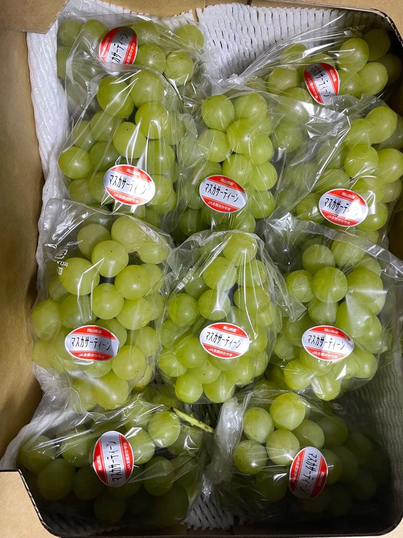 ② 【岡山県産】マスカサーティーン(葡萄)9〜10房 約5キロ