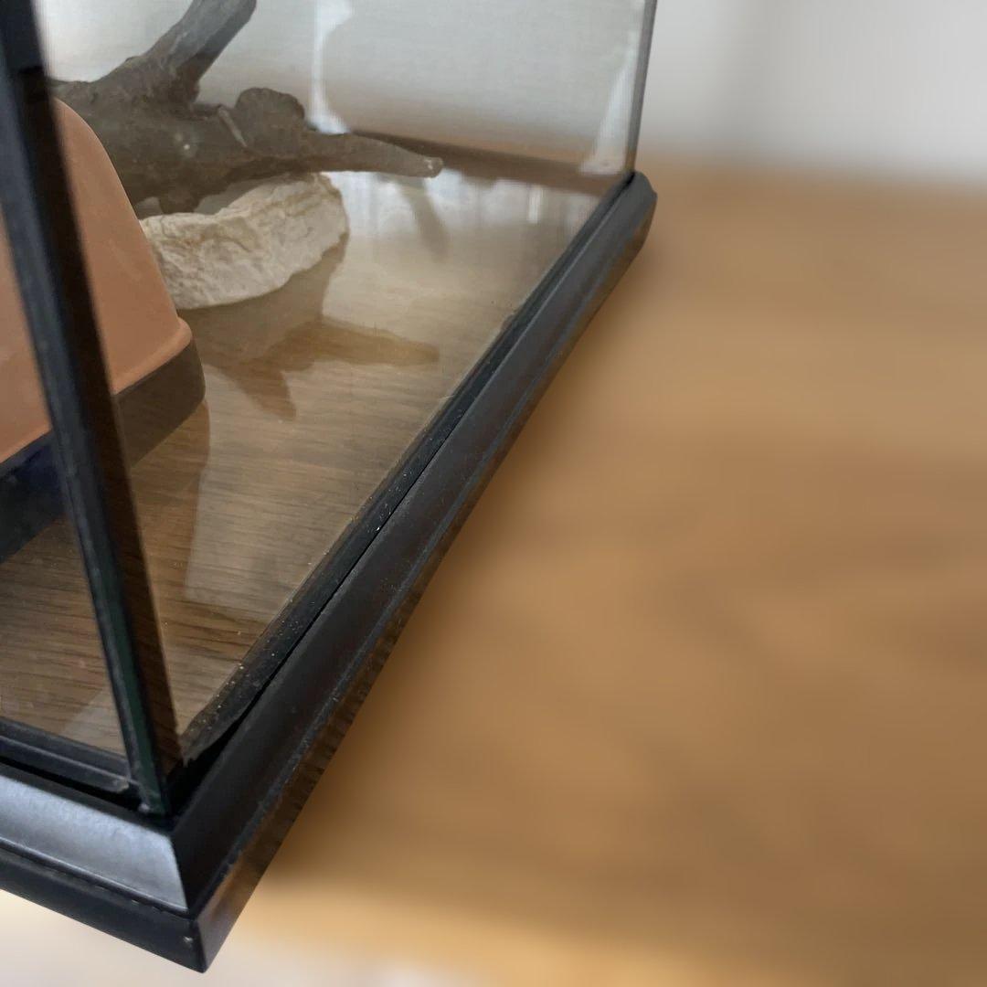 グラステラリウム3030 Exo Terra 飼育ケージ 中型