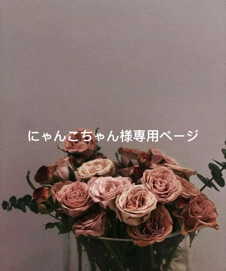 にゃんこちゃんページ