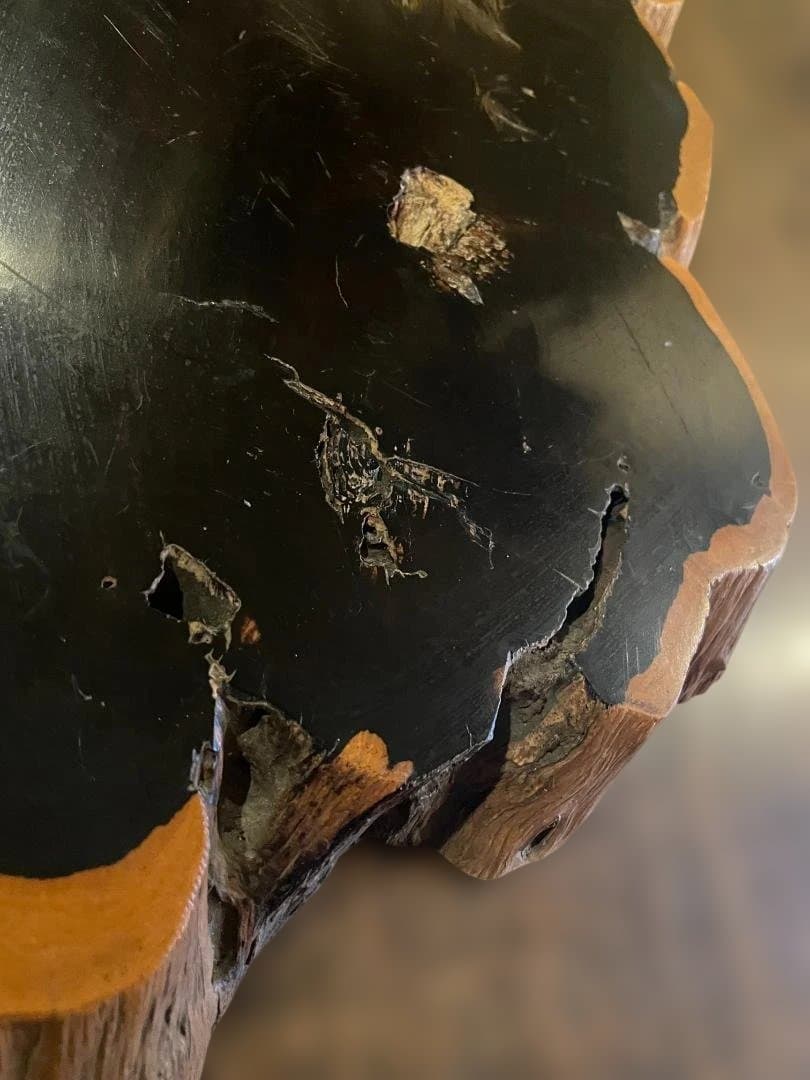 希少 大型 本黒檀 花瓶台 盆栽 花台 飾り台 一枚板 切り株 輪切 華道