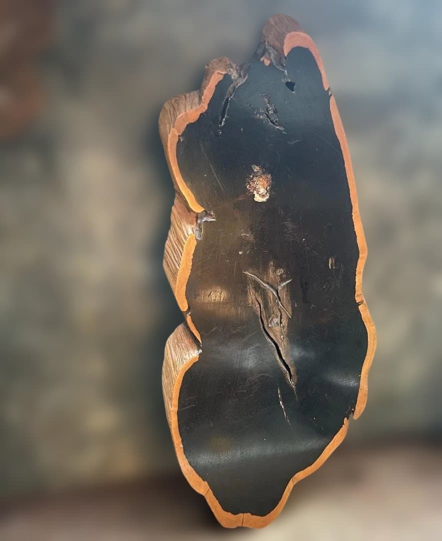 希少 大型 本黒檀 花瓶台 盆栽 花台 飾り台 一枚板 切り株 輪切 華道