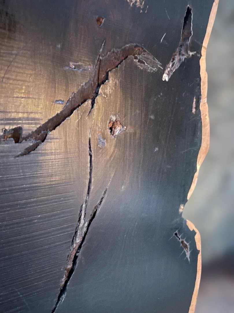 希少 大型 本黒檀 花瓶台 盆栽 花台 飾り台 一枚板 切り株 輪切 華道