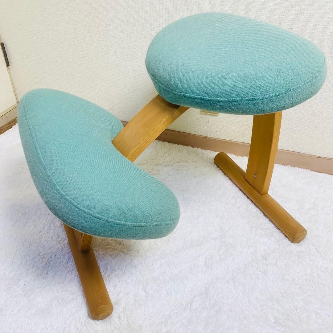 バランスチェア イージー バランスラボ(旧サカモトハウス) はっ水カバー付き