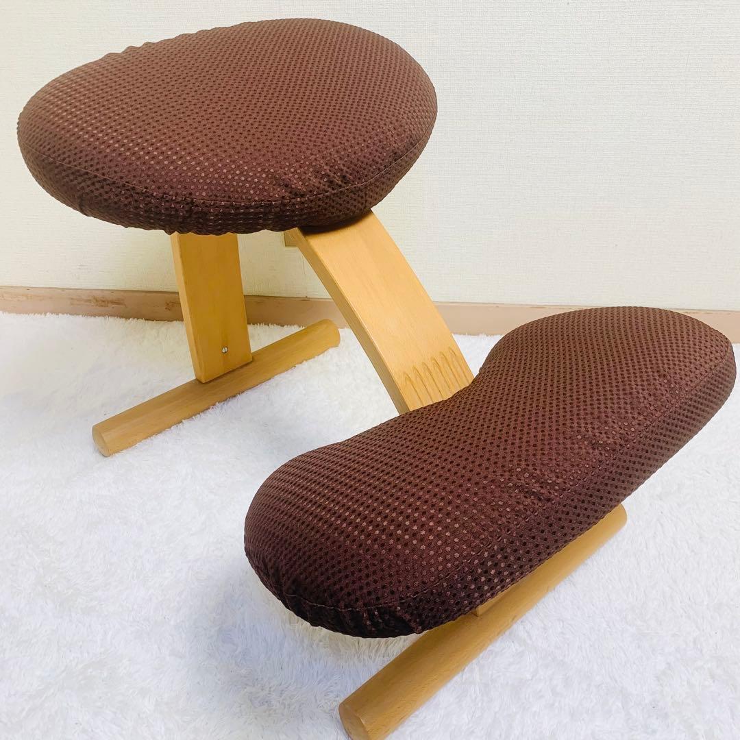 バランスチェア イージー バランスラボ(旧サカモトハウス) はっ水カバー付き