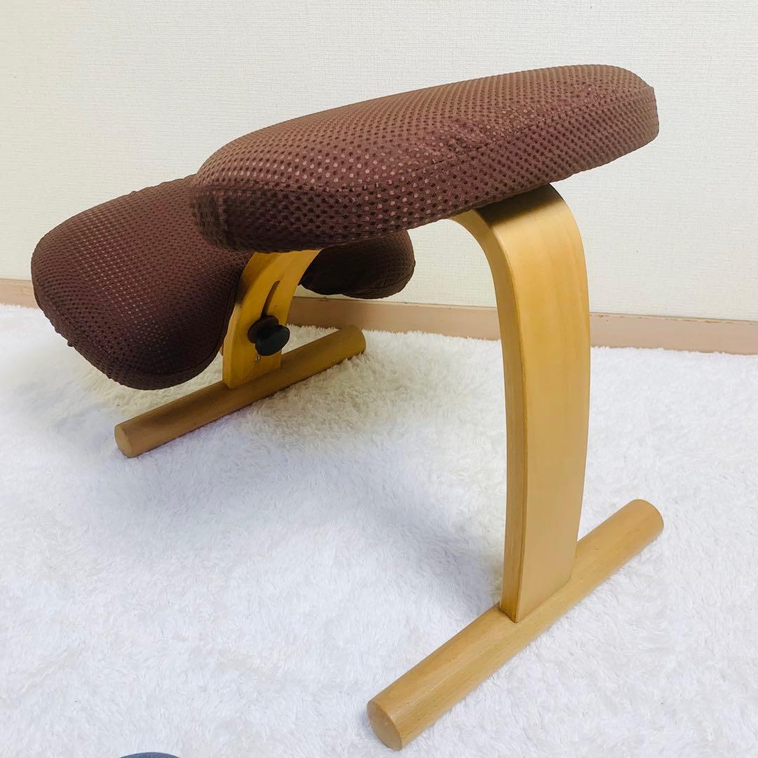 バランスチェア イージー バランスラボ(旧サカモトハウス) はっ水カバー付き