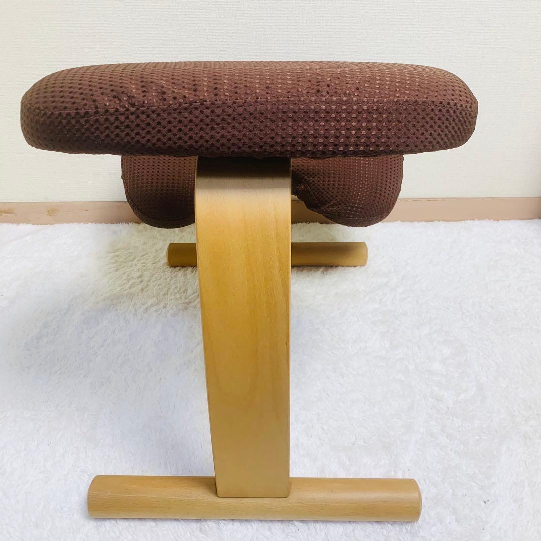 バランスチェア イージー バランスラボ(旧サカモトハウス) はっ水カバー付き