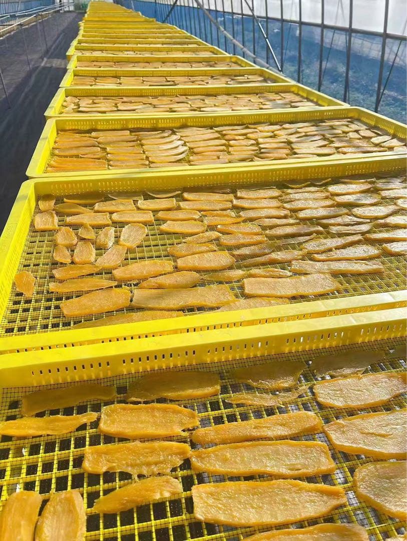 国産無添加 砂糖不使用 茨城県特産干し芋 紅はるか訳ありB級品 箱込み2キロx4