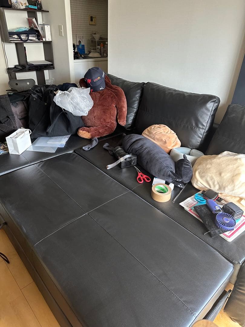 FRIHETEN フリーヘーテン ソファベッド