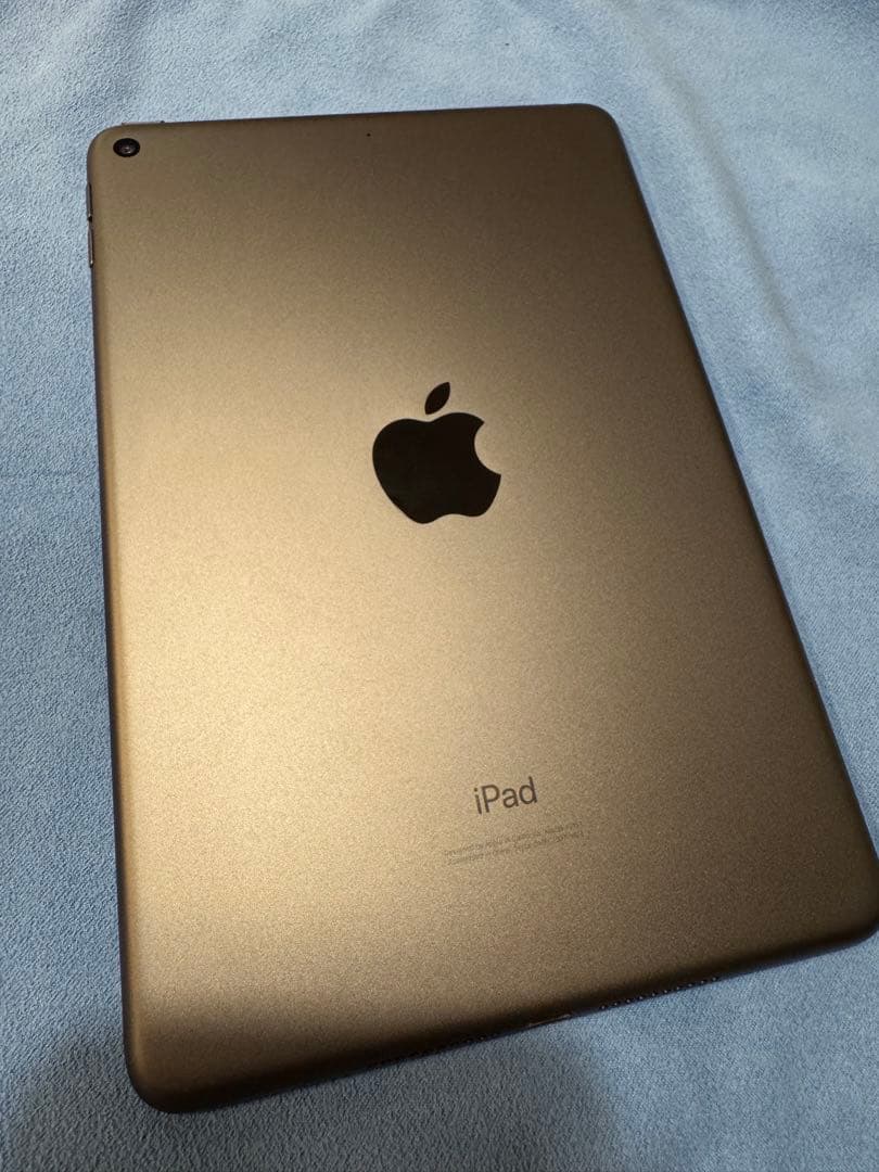 Apple iPad mini 5 64GB スペースグレイ