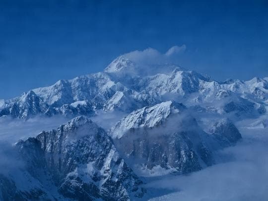 【専用】ガーディアン[Guardian] アラスカンエッセンスフラワーエッセンス