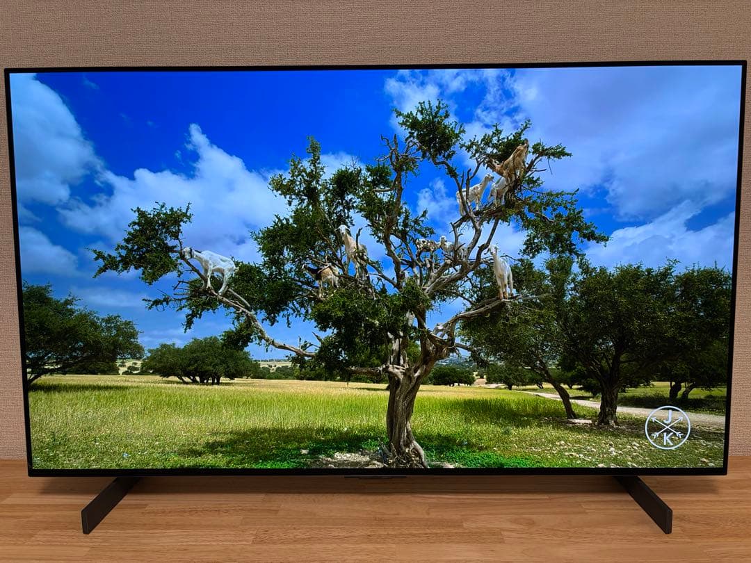 LG OLED42C3PJA 有機ELテレビ