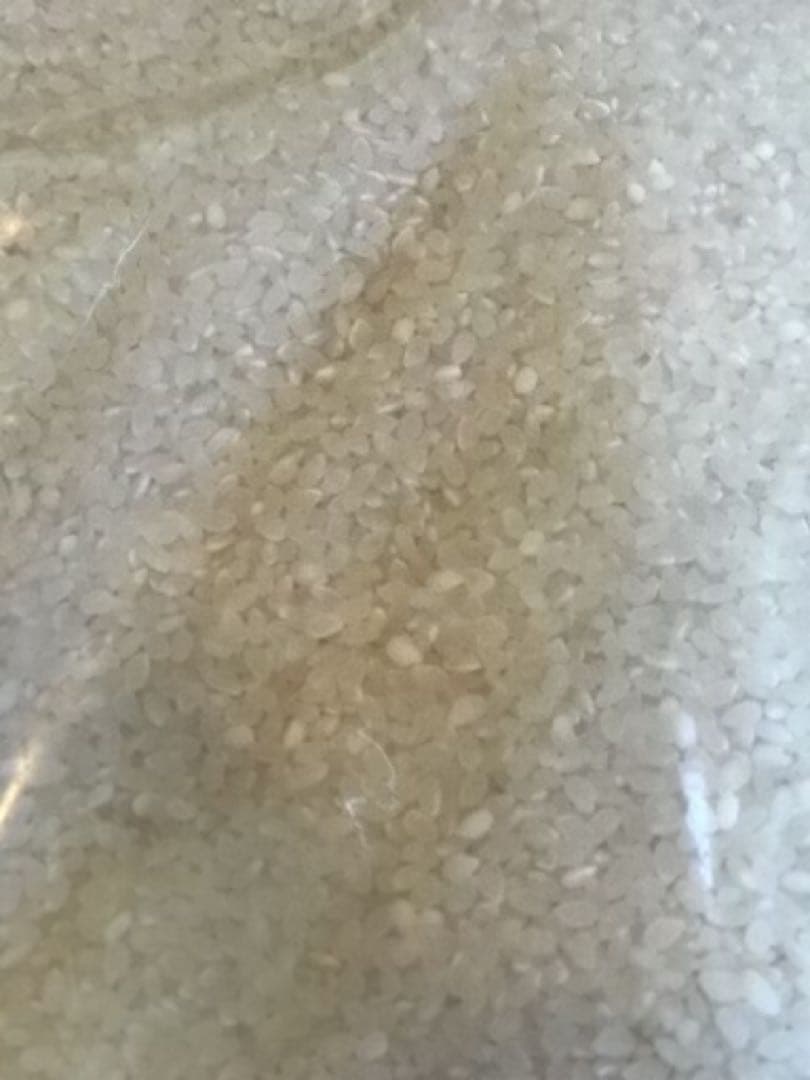 ☆*中様 訳ありブレンド(大粒100%) 白米　20kg(5kgで4袋)