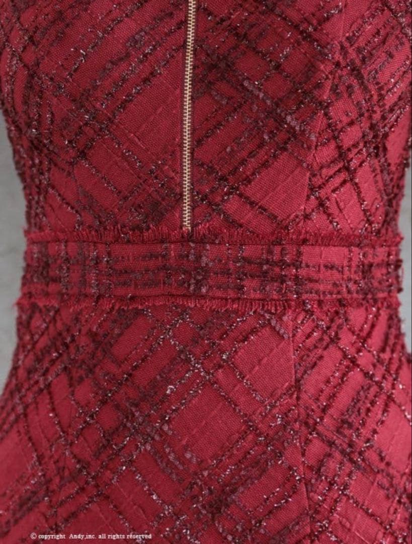 Andy マーメイド フロントジップミディア ムドレスアンディ