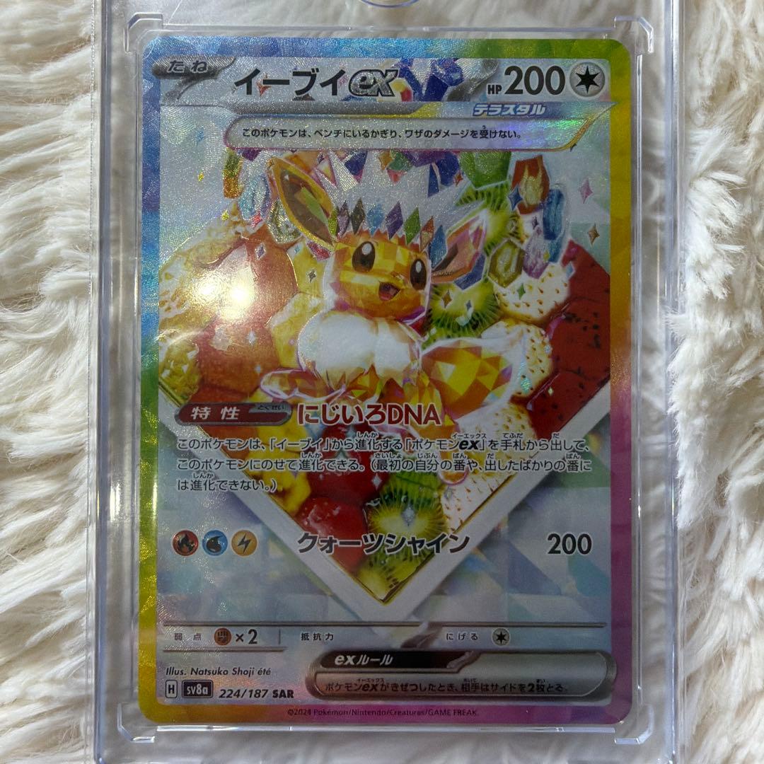 最終値下げテラスタルフェスSAR4枚セット