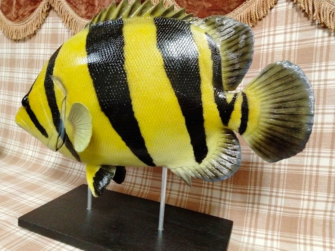 ハンドメイド　48cmダトニオ シャムタイガー　フィギュア　レプリカ　置物　魚
