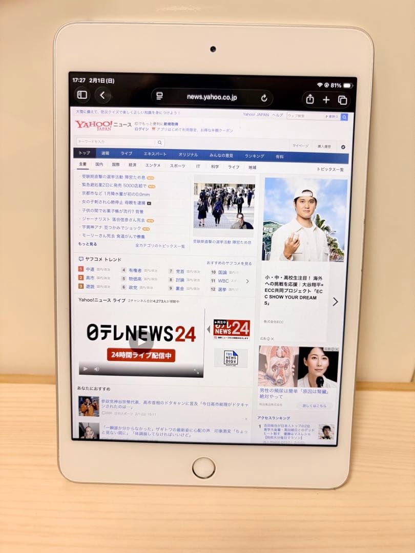 iPad mini 5 (第5世代) 64g 美品