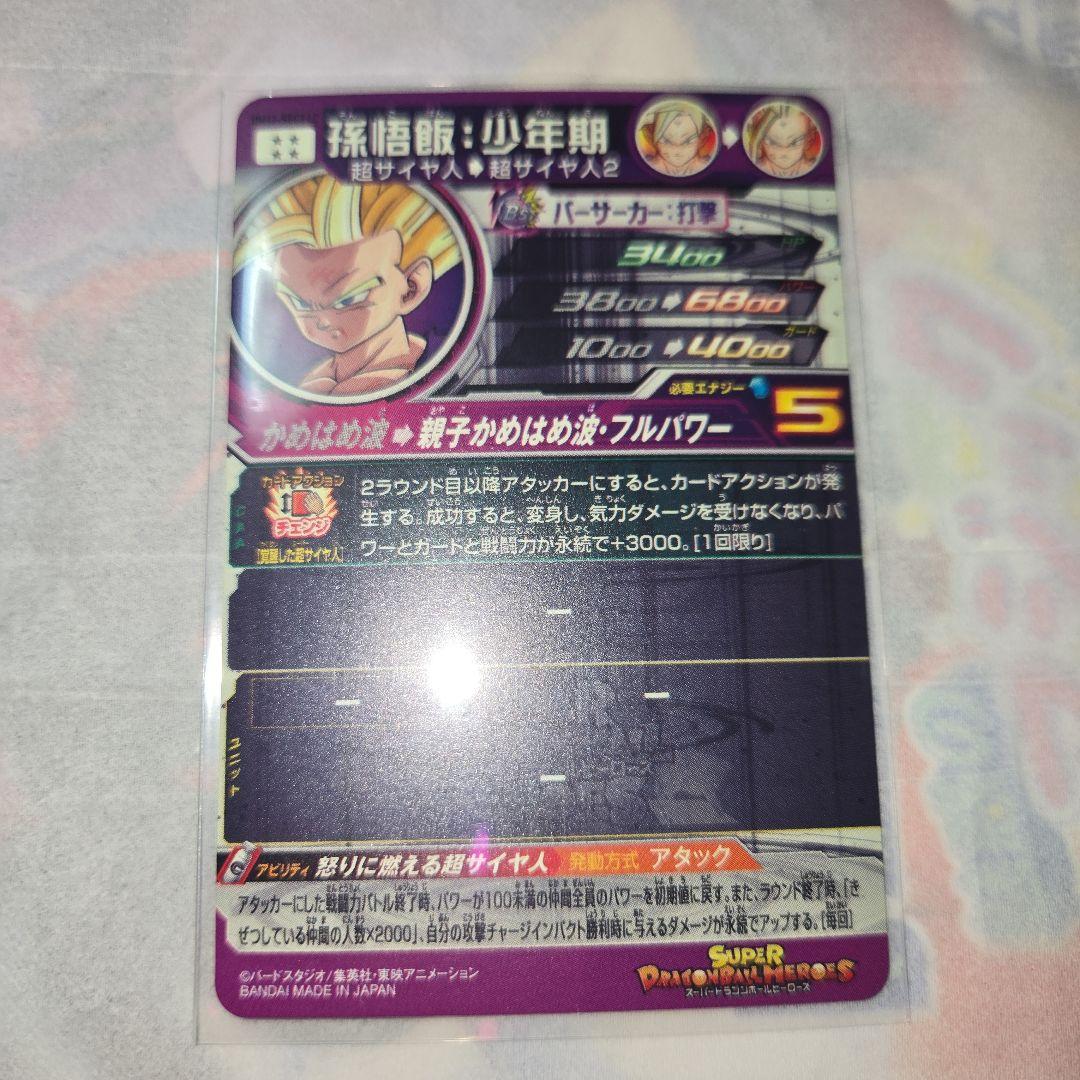 UM12-SEC3 LC孫悟飯:少年期