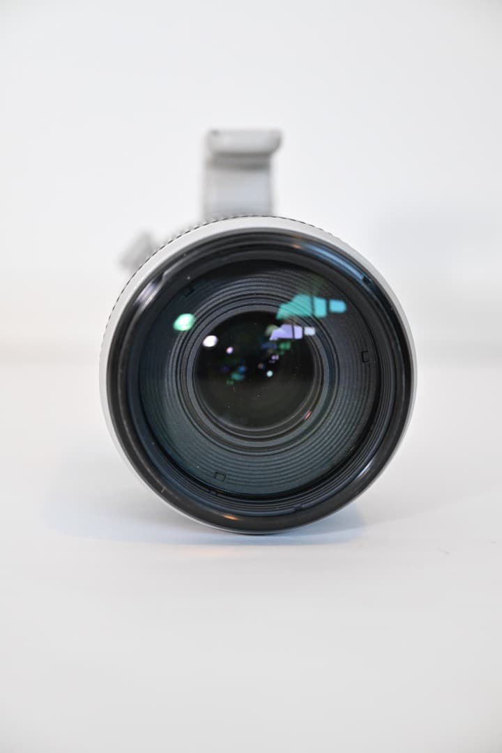 【キヤノン】EF100-400mm F4.5-5.6L IS II USM