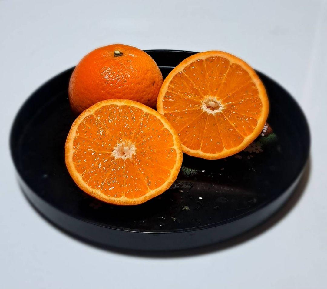 徳之島産 たんかん 10キロ 家庭用