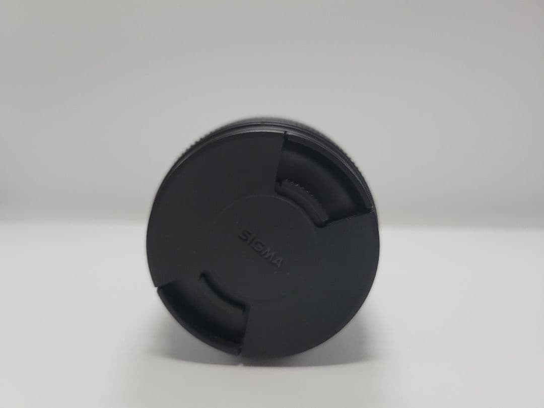 SIGMA 18-250mm 3.5-6.3 DC OS HSM SONY用