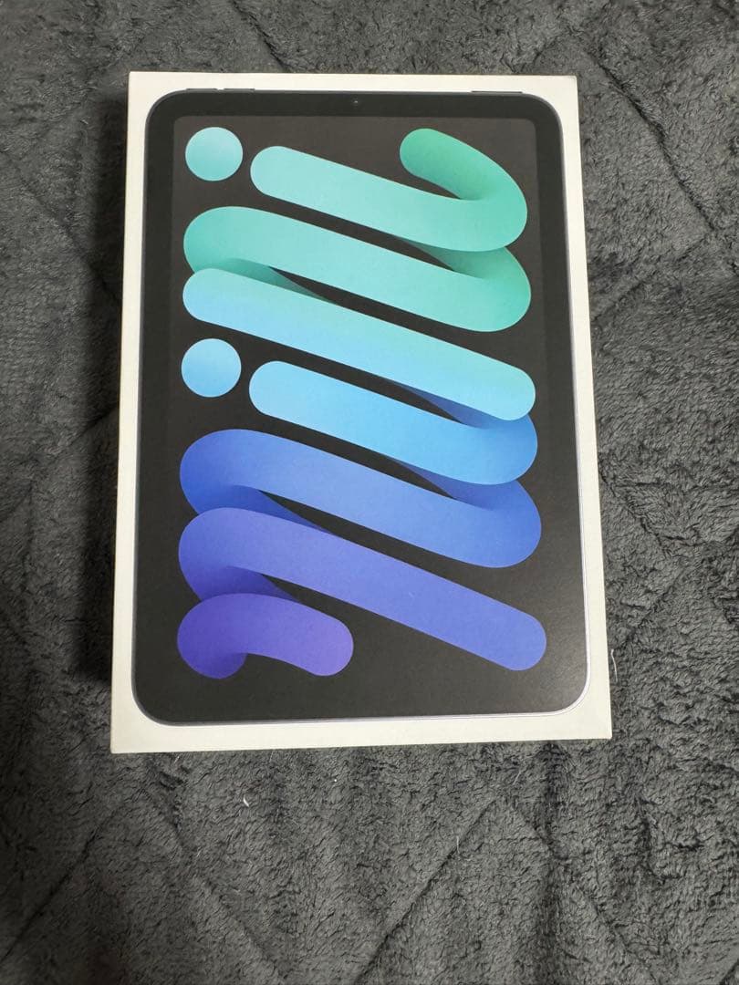 iPad mini Wi-Fiモデル256