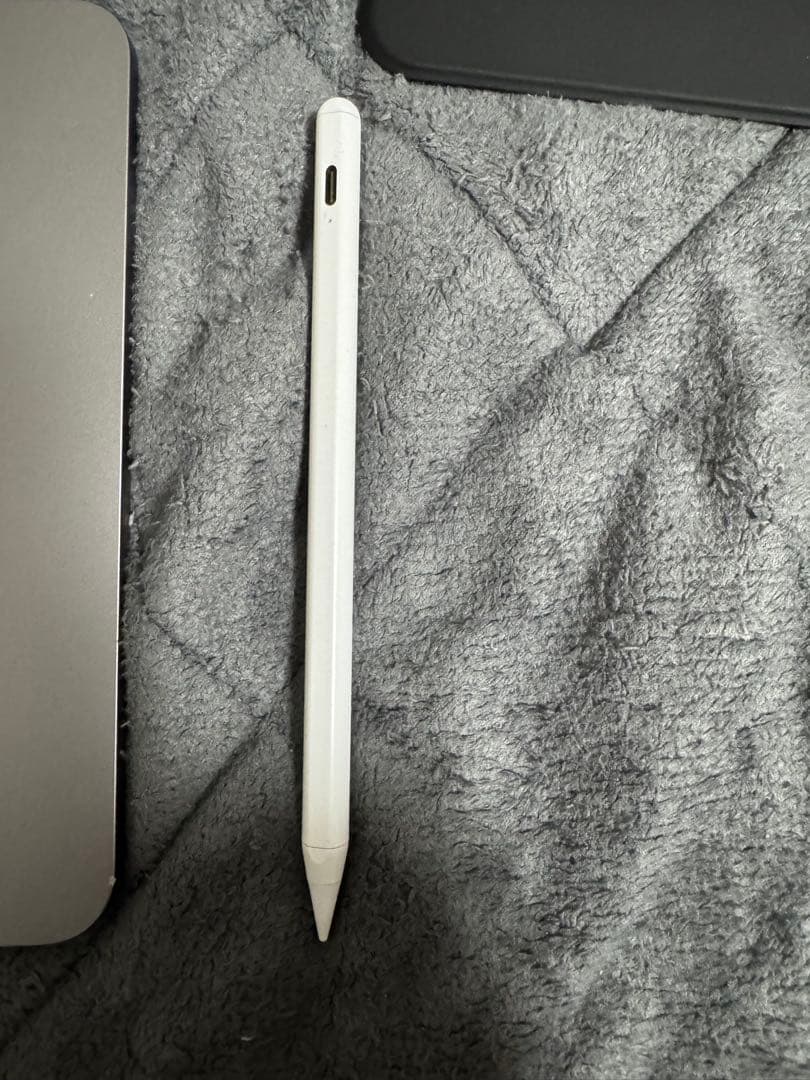 iPad mini Wi-Fiモデル256