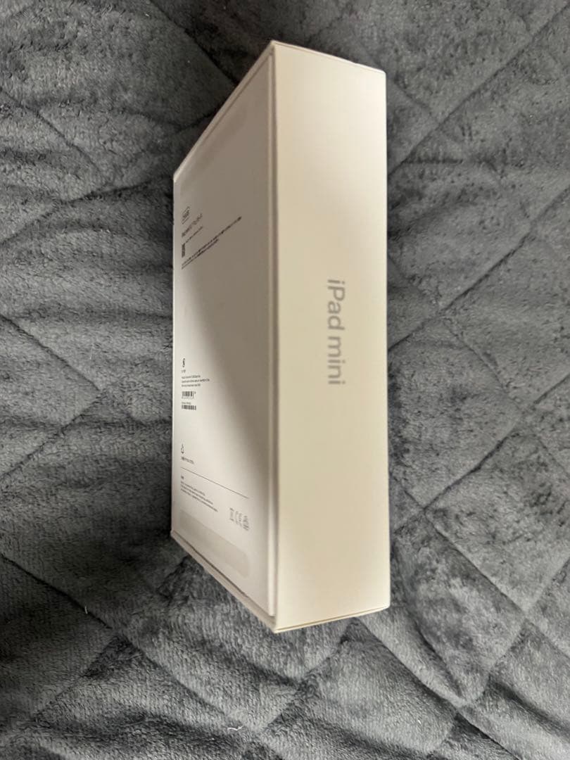 iPad mini Wi-Fiモデル256