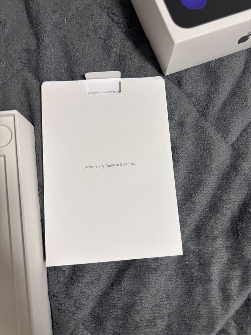 iPad mini Wi-Fiモデル256