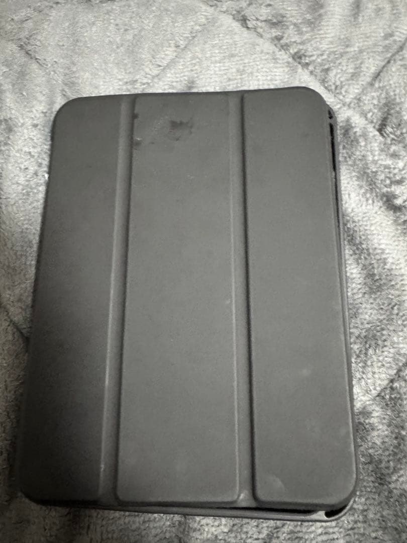 iPad mini Wi-Fiモデル256