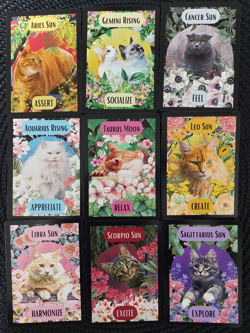 りるりる　新品 猫の庭 オリジナル日本語訳付き 全36枚