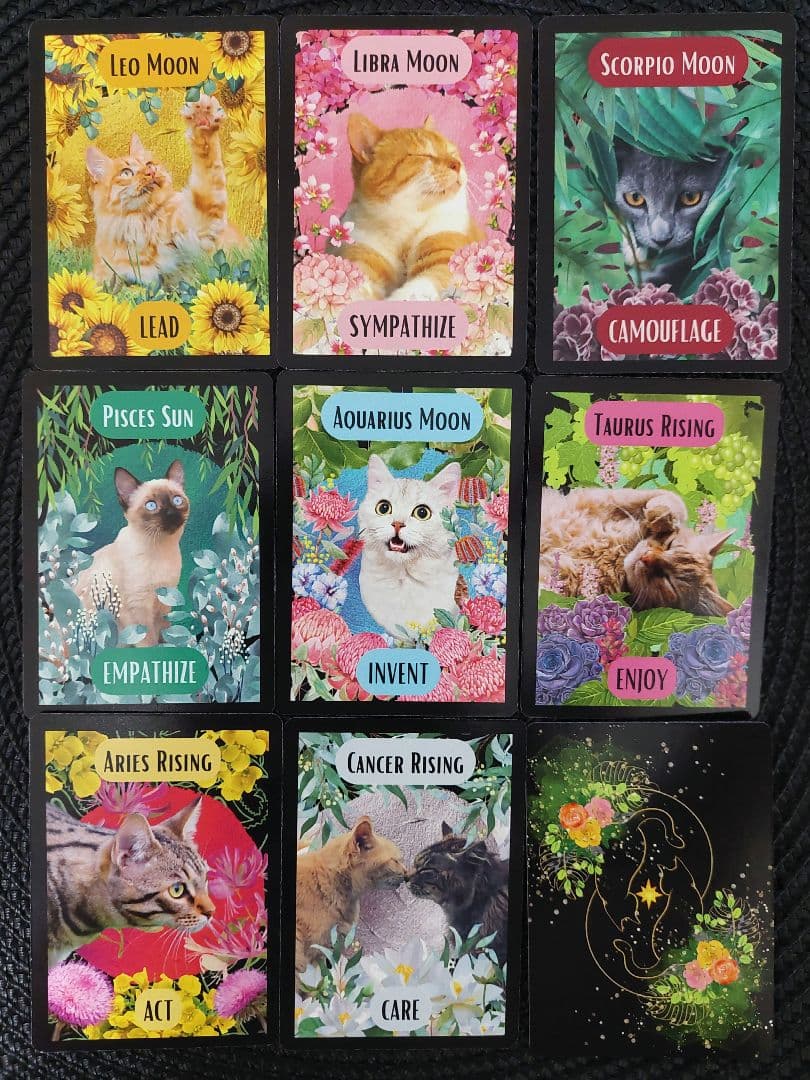 りるりる　新品 猫の庭 オリジナル日本語訳付き 全36枚