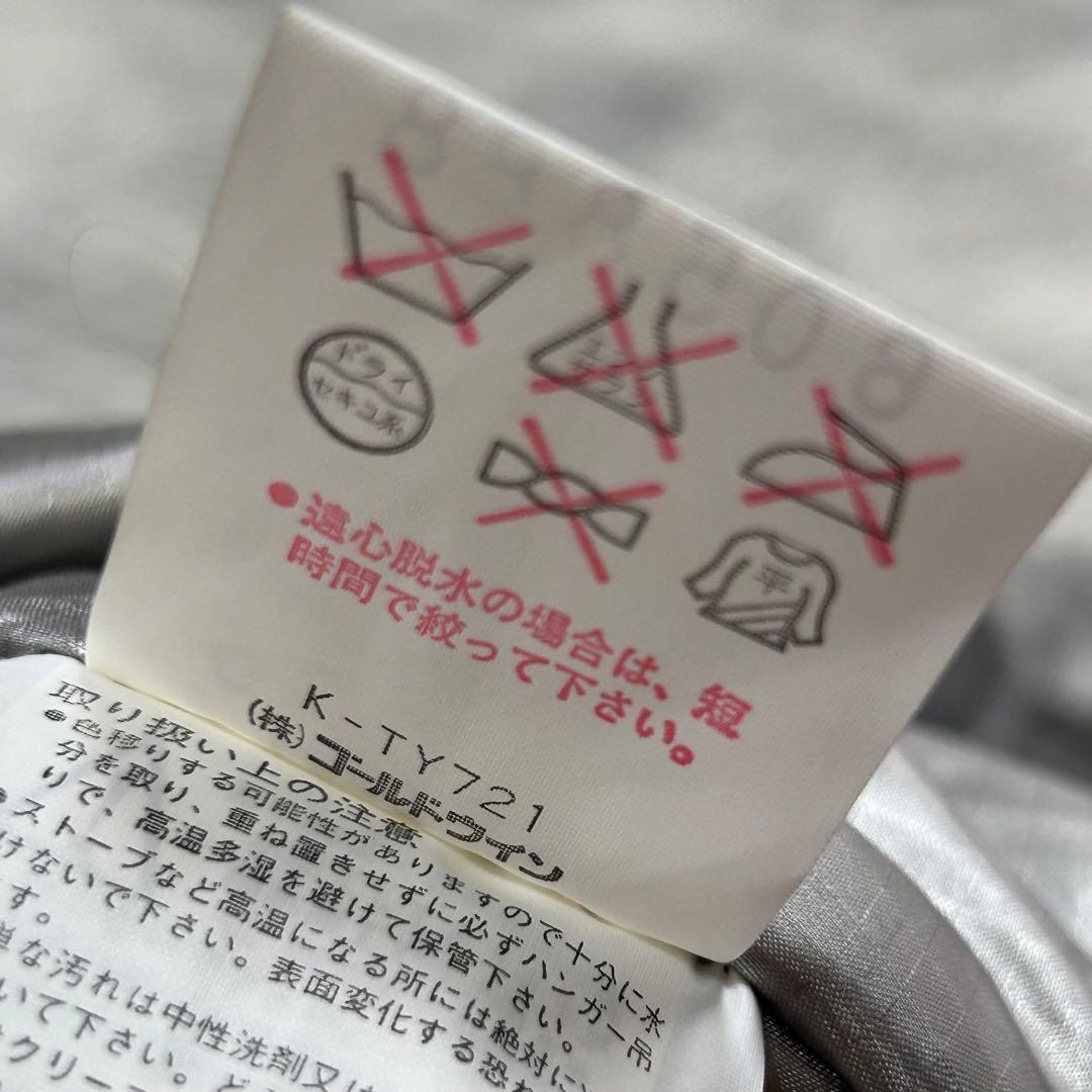 m5952【ゴールドウイン 日本代表 ナショナルチーム】スキーウェア 上下 L