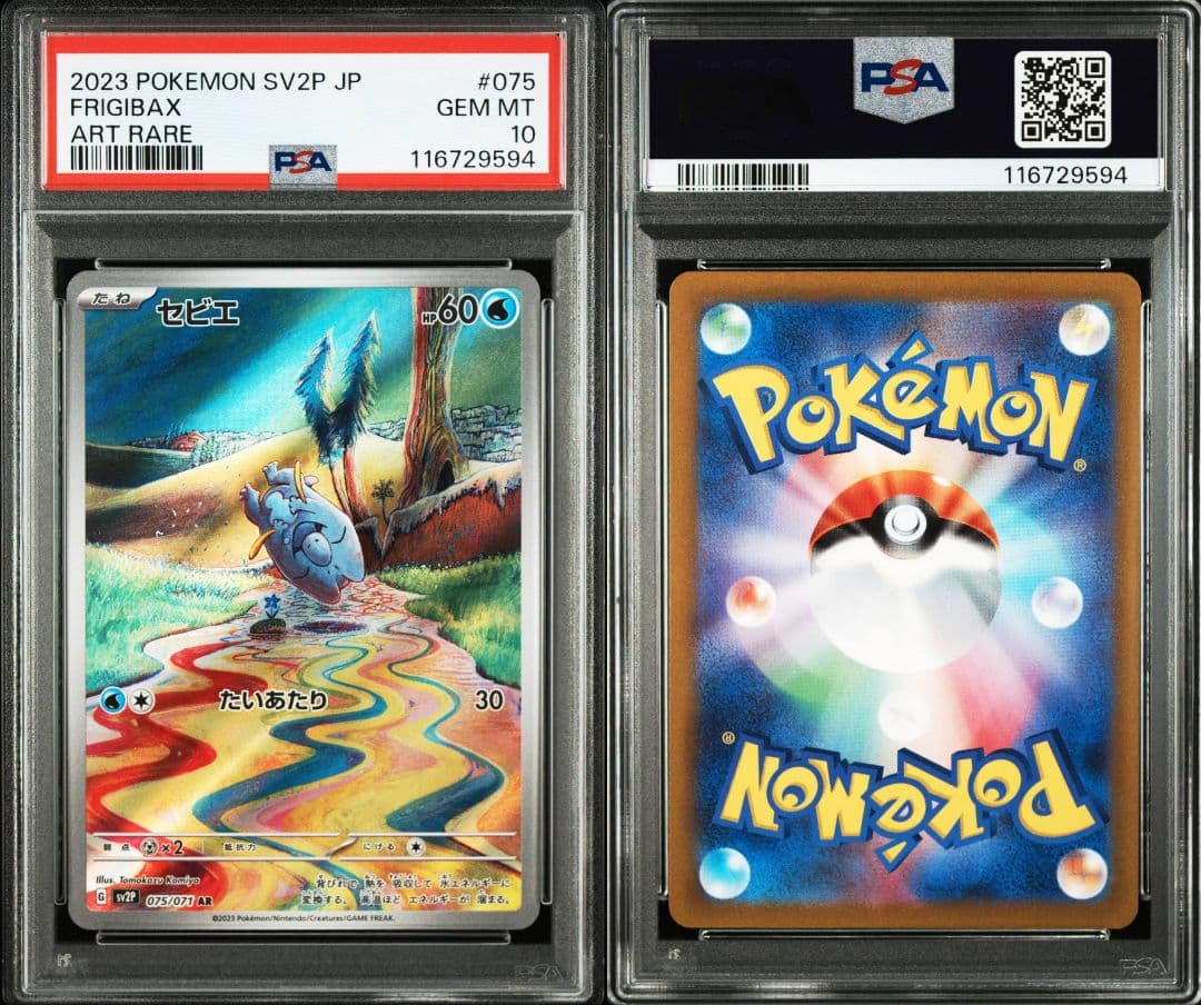 連番 セビエ セゴール セグレイブar psa10 最新ケース