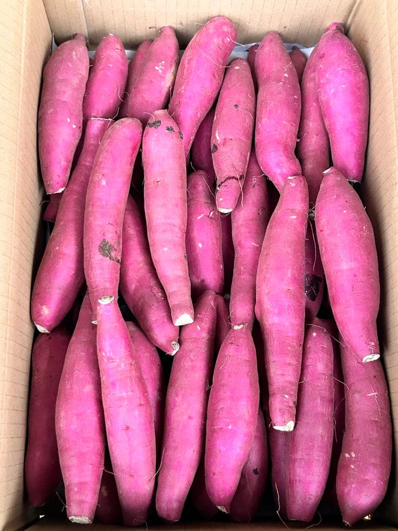 yuuuu専用　あまはづき　さつまいも　2sサイズ　25kg