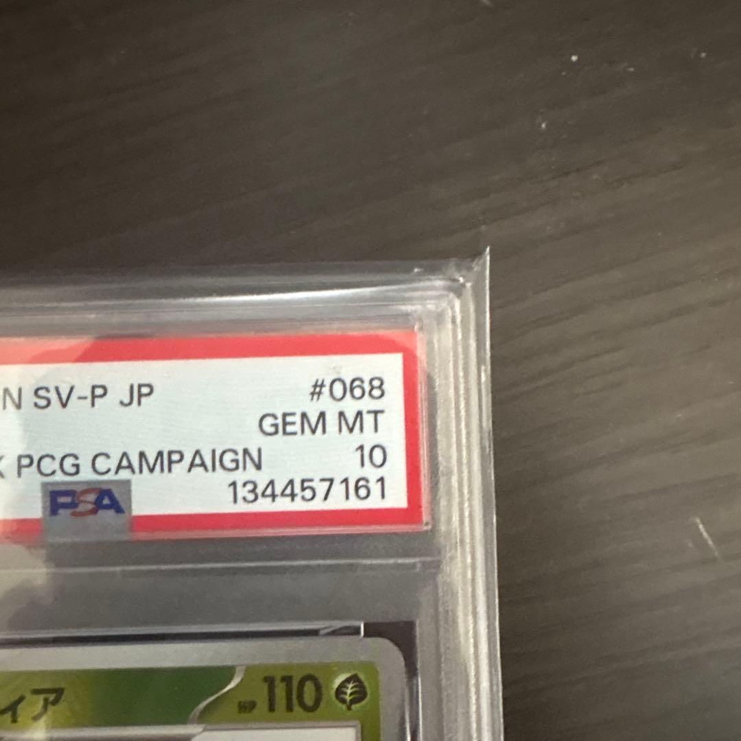 YU NAGABA シャワーズ、リーフィア