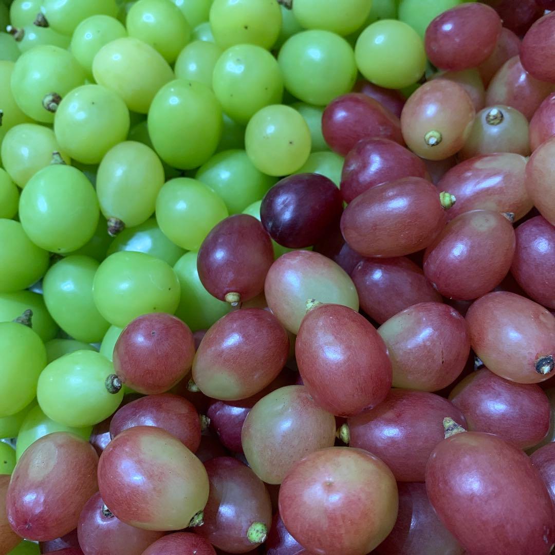 信州　黄色シャインマスカット＆クイーンルージュ®︎（粒）