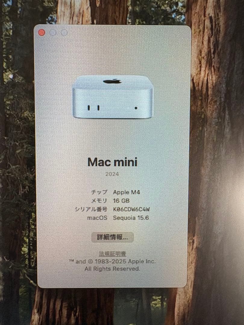 Apple Mac mini (MU9D3ZP/A) +モバイルモニター　セット