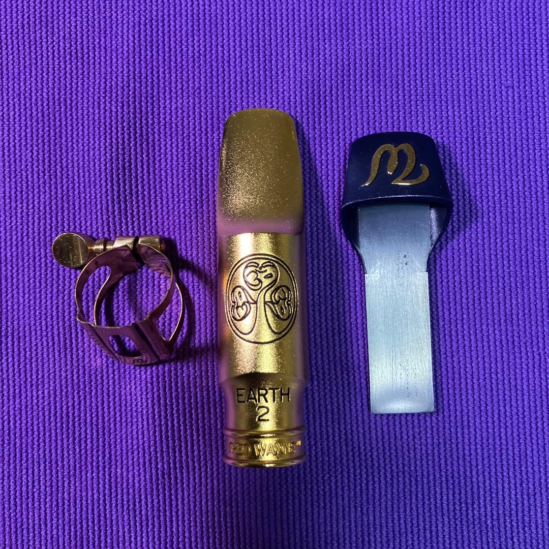 セオワニ EARTH オープニング7 アルトサックスMPリード10枚付