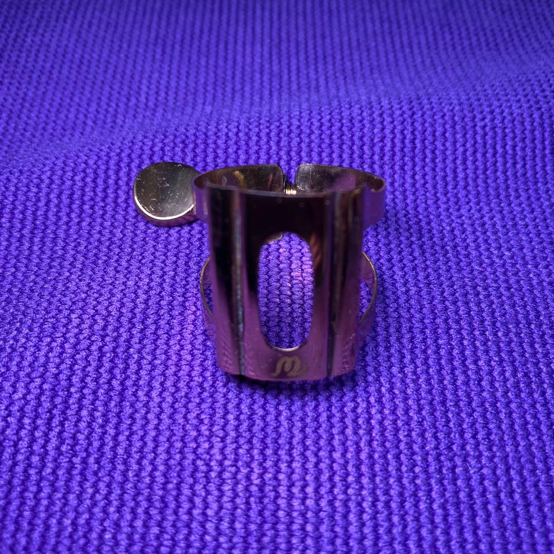 セオワニ EARTH オープニング7 アルトサックスMPリード10枚付