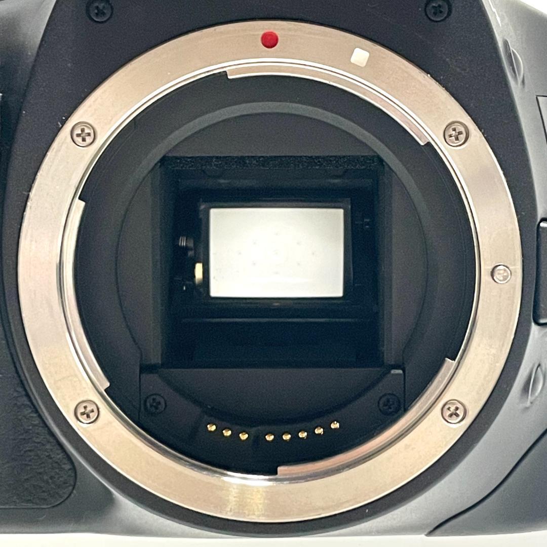 初心者入門OK❣️ Canon EOS Kiss X4 超望遠Wレンズセット