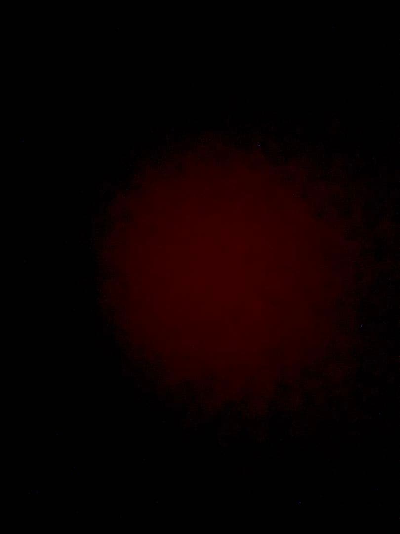 専用　取引完了品