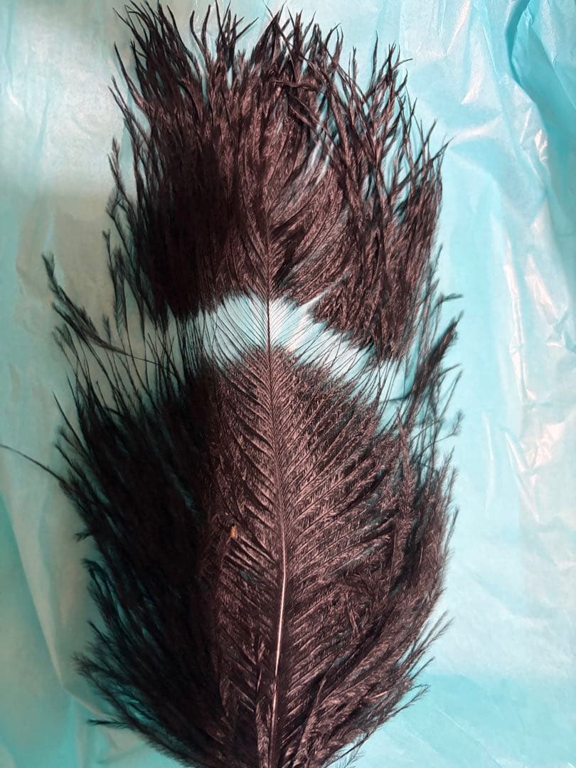 alice and the pirates パイレーツ　ハット