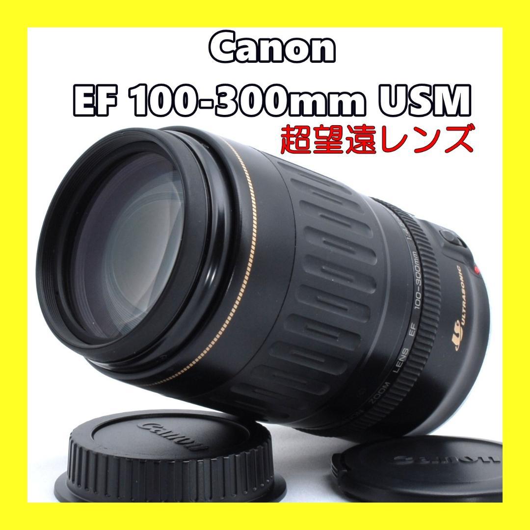 ★Canon EF 100-300mm F4.5-5.6 USM★望遠レンズ★
