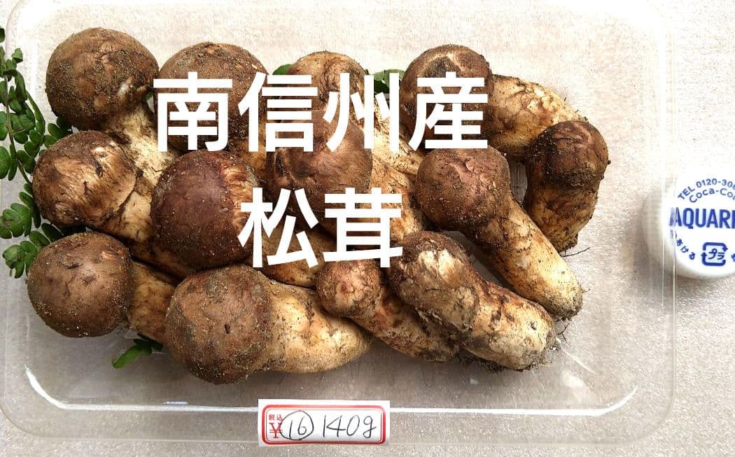 南信州産松茸約140g（パック込み）