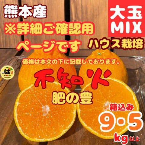 ※確認用　大玉MIX箱込み9.5kg以上【ハウス栽培　不知火　デコポン　肥の豊】
