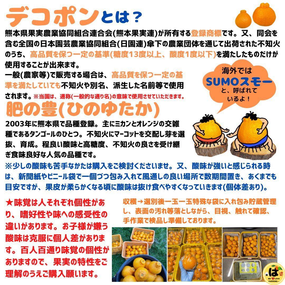 ※確認用　大玉MIX箱込み9.5kg以上【ハウス栽培　不知火　デコポン　肥の豊】