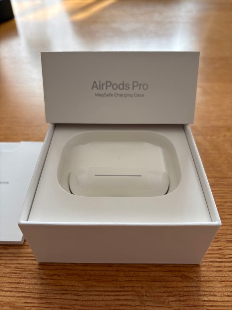 AirPods Pro 1 本体