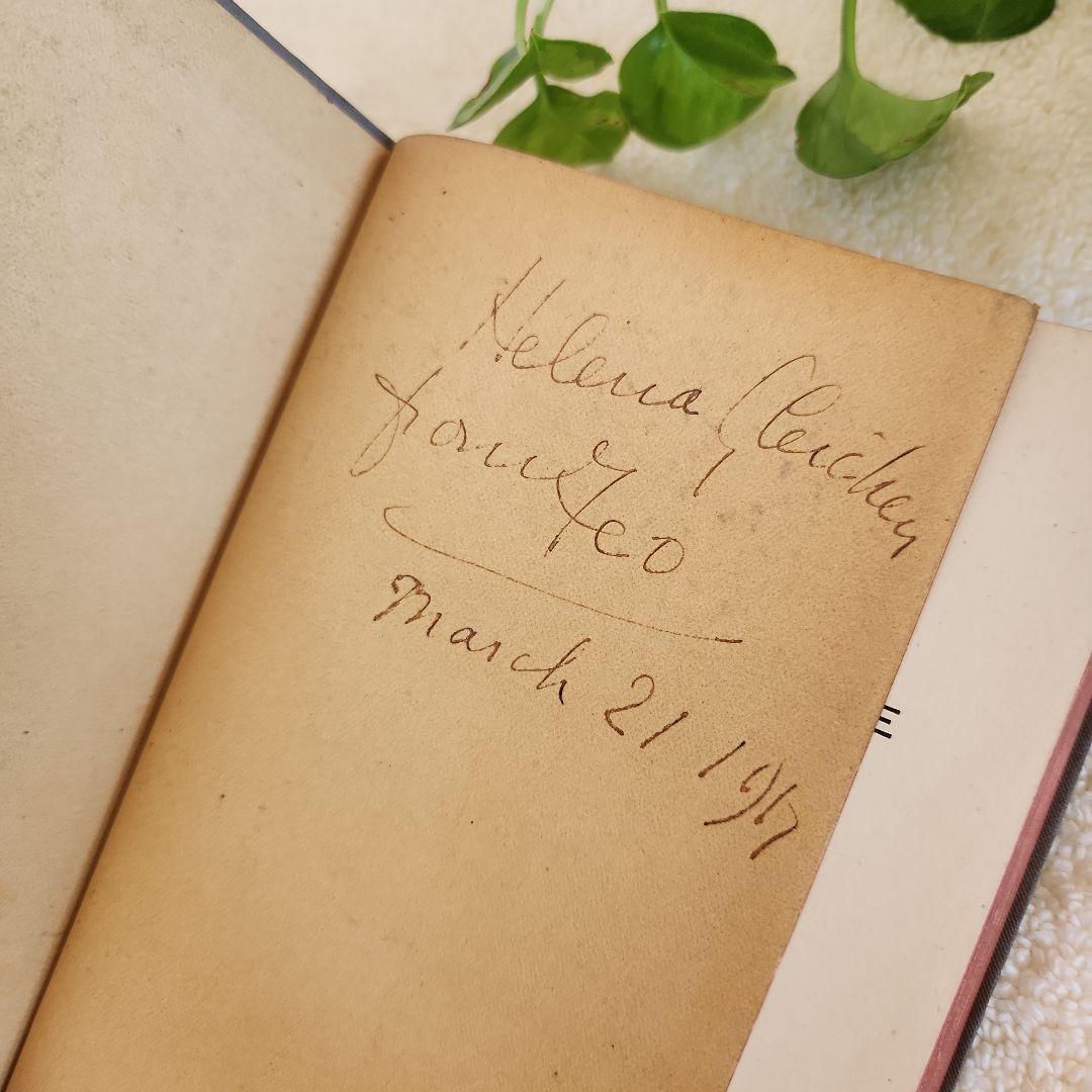 植物図鑑　洋書　ボタニカルアート　フランスアンティーク　　古書　14