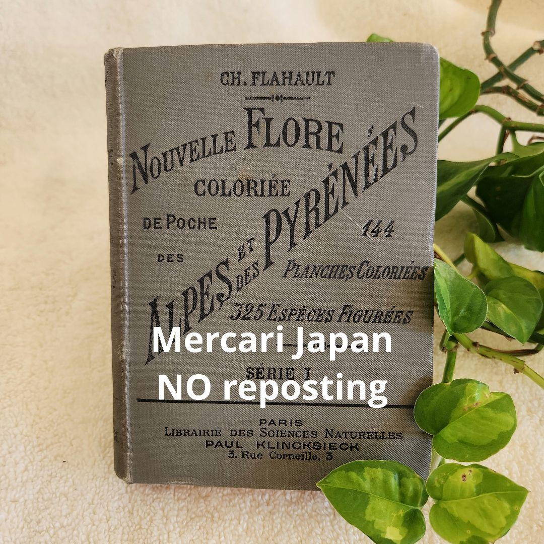 植物図鑑　洋書　ボタニカルアート　フランスアンティーク　　古書　14